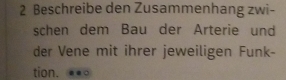 Beschreibe den Zusammenhang zwi- 
schen dem Bau der Arterie und 
der Vene mit ihrer jeweiligen Funk- 
tion.