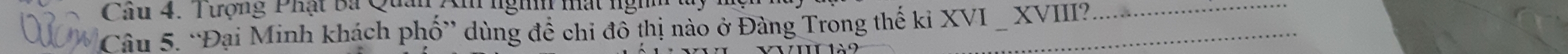 Tượng Phật Ba Qua 
Câu 5. “Đại Minh khách phố” dùng để chi đồ thị nào ở Đàng Trong thế kỉ XVI _ XVIII?