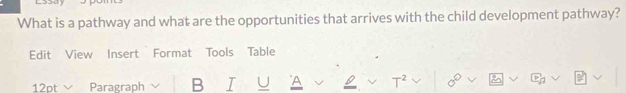 What is a pathway and what are the opportunities that arrives with the child development pathway? 
Edit View Insert Format Tools Table 
12pt× Paragraph B I U A T^2