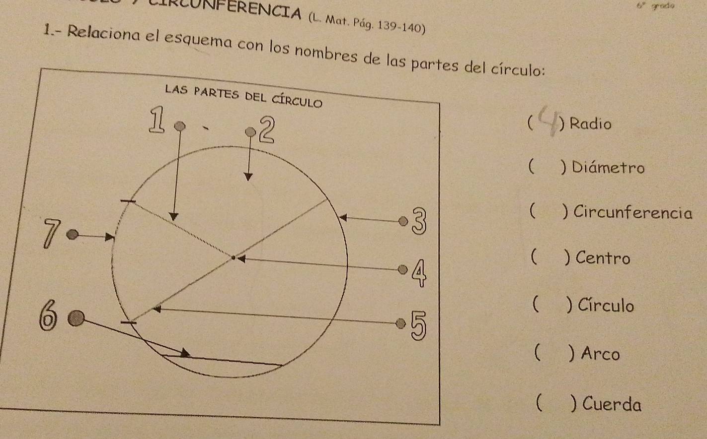 6^x grade
IRcUNFERENCIA (L. Mat. Pág. 139-140)
1.- Relaciona el esquema con los nombres de las partes del círculo:
 ) Radio
( ) Diámetro
( ) Circunferencia
 ) Centro
( ) Círculo
 ) Arco
 ) Cuerda