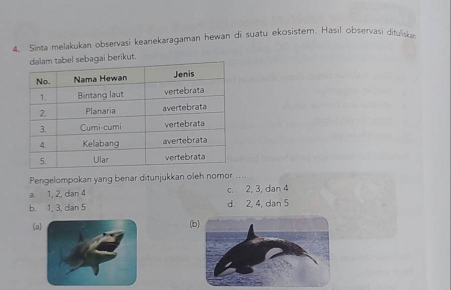 Sinta melakukan observasi keanekaragaman hewan di suatu ekosistem. Hasil observasi dituliskan
berikut.
Pengelompokan yang benar ditunjukkan oleh nomor ....
a. 1, 2, dan 4 c. 2, 3, dan 4
b. 1, 3, dan 5 d. 2, 4, dan 5
(a) (b)