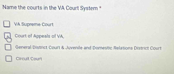 Name the courts in the VA Court System *
VA Supreme Court
a Court of Appeals of VA,
General District Court & Juvenile and Domestic Relations District Court
Circuit Court