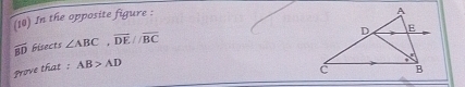 (10) In the opposite figure :
overline BD bisects ∠ ABC, overline DE//overline BC
Prove that : AB>AD