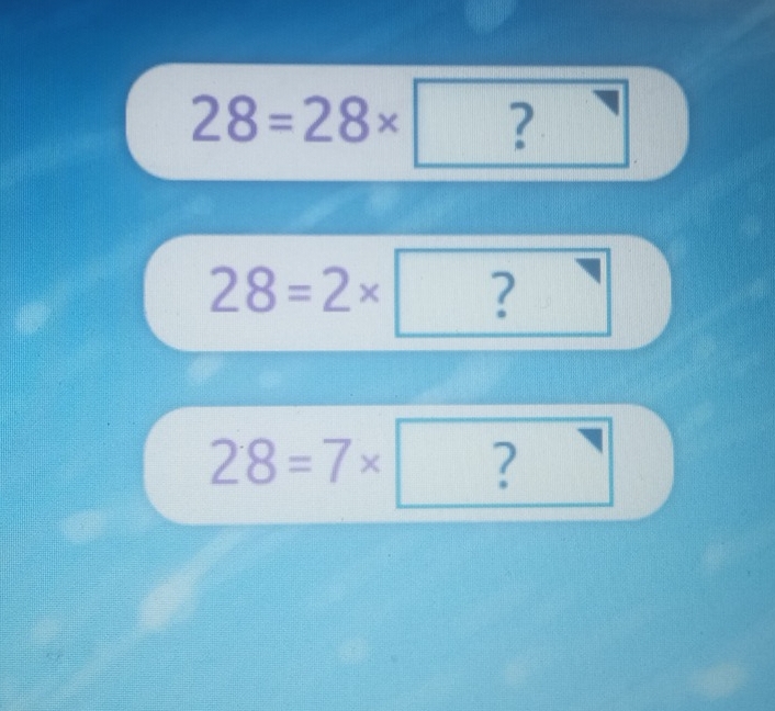 28=28* □
28=2* ?
28=7* ?