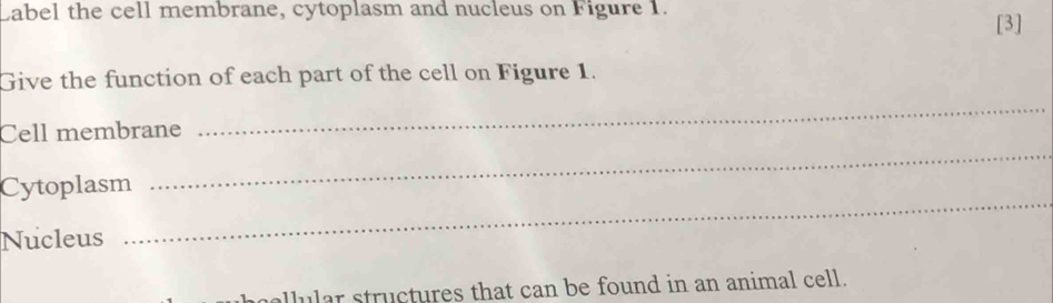 Cabel the cell membrane, cytoplasm and nucleus on Figure 1. 
[3] 
Give the function of each part of the cell on Figure 1. 
Cell membrane 
_ 
Cytoplasm 
_ 
Nucleus 
_ 
cellular structures that can be found in an animal cell.