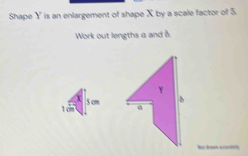 Solved: Shape Y is an enlargement of shape X by a scale factor of 5 ...