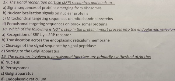 The signal recognition particle (SRP) recoqnizes and binds to...
a) Signal sequences of proteins emerging from ribosomes
b) Nuclear localization signals on nuclear proteins
c) Mitochondrial targeting sequences on mitochondrial proteins
d) Peroxisomal targeting sequences on peroxisomal proteins
18. Which of the following is NOT a step in the protein import process into the endoplasmic reticulun
a) Recognition of SRP by a SRP receptor
b) Translocation across the endoplasmic reticulum membrane
c) Cleavage of the signal sequence by signal peptidase
d) Sorting to the Golgi apparatus
19. The enzymes involved in peroxisomal functions are primarily synthesized at/in the:
a) Nucleus
b) Peroxysomes
c) Golgi apparatus
d) Endoplasmic reticulum