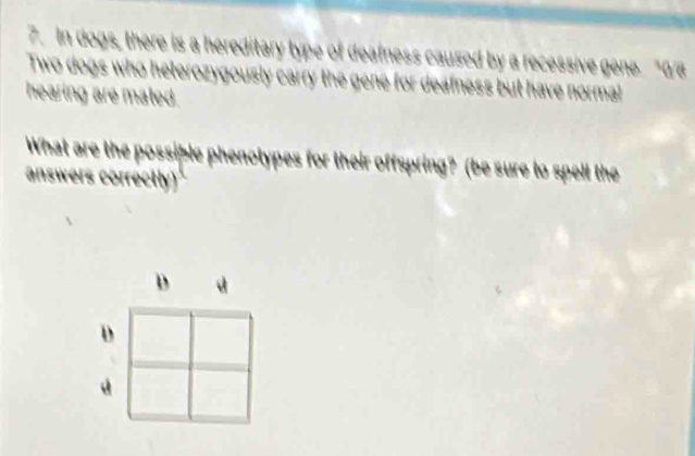 In dogs, there is a hereditary type of deafness caused by a recessive gene. “0/a 
Two dogs who heterozygously carry the gene for deafness but have normal 
hearing are mated. 
What are the possible phenotypes for their offspring? (be sure to spell the 
answers correctly) 
D d 
D