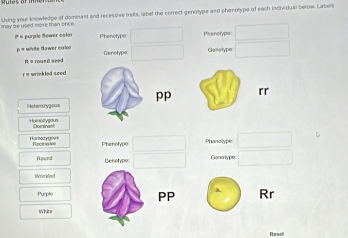 Solved: Using your knowledge of dominant and recessive traits, label ...
