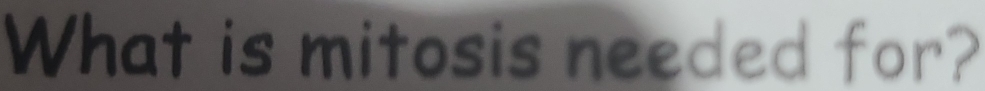 What is mitosis needed for?