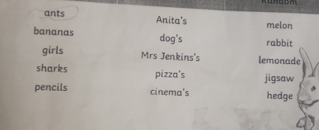 Rundom 
ants Anita's melon 
bananas dog's rabbit 
girls Mrs Jenkins's lemonade 
sharks pizza's jigsaw 
pencils cinema's hedge