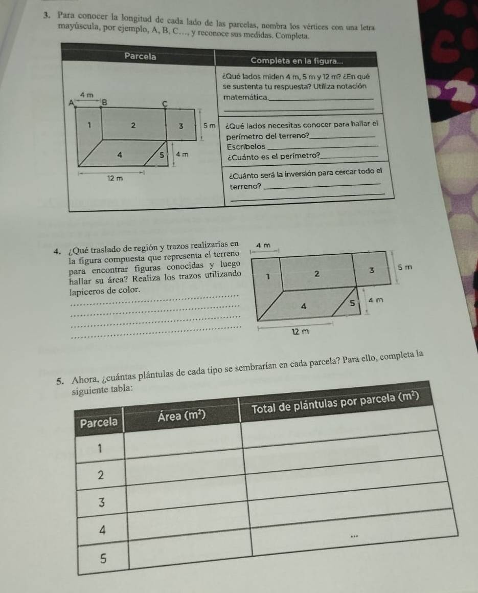 Para conocer la longitud de cada lado de las parcelas, nombra los vértices con una letra 
mayúscula, por ejemplo, A, B, C…, y reconoce sus medidas. Completa. 
Parcela Completa en la figura... 
¿Qué lados miden 4 m, 5 m y 12 m? ¿En qué 
se sustenta tu respuesta? Utiliza notación
4 m matemática._ 
_
A B C
1 2 3 5 m ¿Qué lados necesitas conocer para hallar el 
t perímetro del terreno?_ 
Escríbelos_
4 5 4 m ¿Cuánto es el perímetro?_ 
- 
_
12 m ¿Cuánto será la inversión para cercar todo el 
_ 
terreno? 
4. ¿Qué traslado de región y trazos realizarías en 4 m
la figura compuesta que representa el terreno 
para encontrar figuras conocidas y luego 
hallar su área? Realiza los trazos utilizando 1 2 3 5m
_ 
lapiceros de color. 
_ 4 5 4 m
_ 
_
12 m
plántulas de cada tipo se sembrarían en cada parcela? Para ello, completa la