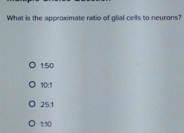 What is the approximate ratio of glial cells to neurons?
1:50
10:1
25:1
1:10