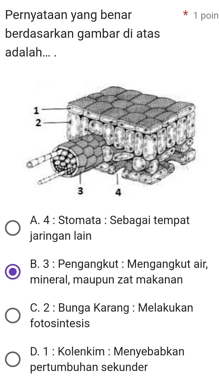 Pernyataan yang benar 1 poin
berdasarkan gambar di atas
adalah... .
A. 4 : Stomata : Sebagai tempat
jaringan lain
B. 3 : Pengangkut : Mengangkut air,
mineral, maupun zat makanan
C. 2 : Bunga Karang : Melakukan
fotosintesis
D. 1 : Kolenkim : Menyebabkan
pertumbuhan sekunder