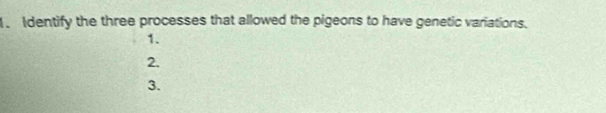 Identify the three processes that allowed the pigeons to have genetic variations. 
1. 
2. 
3.