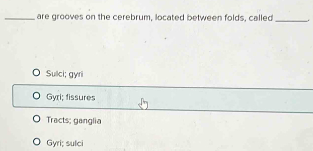 are grooves on the cerebrum, located between folds, called_
Sulci; gyri
Gyri; fissures
Tracts; ganglia
Gyri; sulci