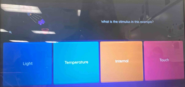 What is the stimulus in this example?
Light Temperature Internal Touch