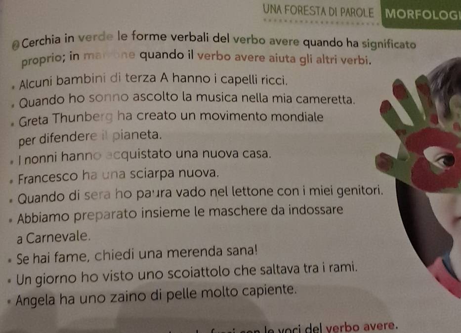 UNA FORESTA DI PAROLE MORFOLOGI 
@ Cerchia in verde le forme verbali del verbo avere quando ha significato 
proprio; in marrone quando il verbo avere aiuta gli altri verbi. 
Alcuni bambini di terza A hanno i capelli ricci. 
* Quando ho sonno ascolto la musica nella mia cameretta. 
* Greta Thunberg ha creato un movimento mondiale 
per difendere it pianeta. 
I nonni hanno acquistato una nuova casa. 
Francesco ha una sciarpa nuova. 
Quando di sera ho paura vado nel lettone con i miei genitori 
Abbiamo preparato insieme le maschere da indossare 
a Carnevale. 
Se hai fame, chiedi una merenda sana! 
Un giorno ho visto uno scoiattolo che saltava tra i rami. 
Angela ha uno zaino di pelle molto capiente. 
e voci del verbo avere.