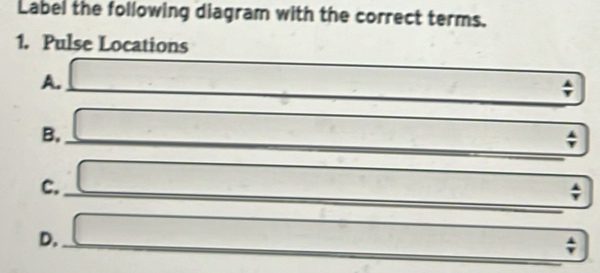 Label the following diagram with the correct terms. 
1. Pulse Locations 
A. - 
; 
B. 
□ +_  ∴ △ ADC=∠ BAN; 
C.
∴ △ ADC=90° (-3,4)
_  ^circ ; 
D.