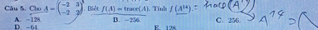 Cho A=beginpmatrix -2&3 -2&2endpmatrix. Biết f(A)=trace(A). Tính f(A^(14))
A. -128. B. -256. C. 256.
D. −64 E. 128