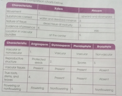 umparison chart