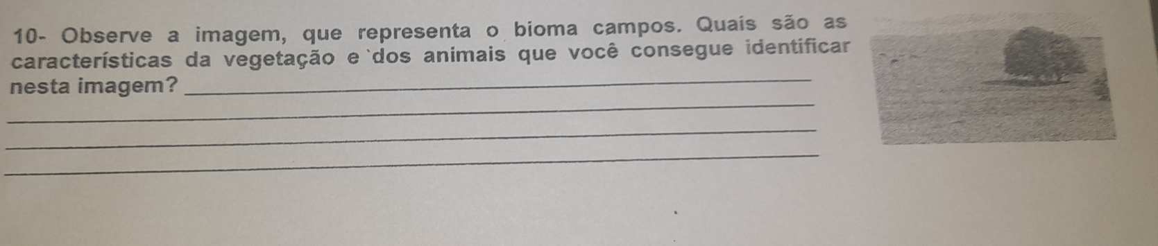 10- Observe a imagem, que representa o bioma campos. Quaís são as 
características da vegetação e dos animais que você consegue identificar 
_ 
nesta imagem? 
_ 
_ 
_