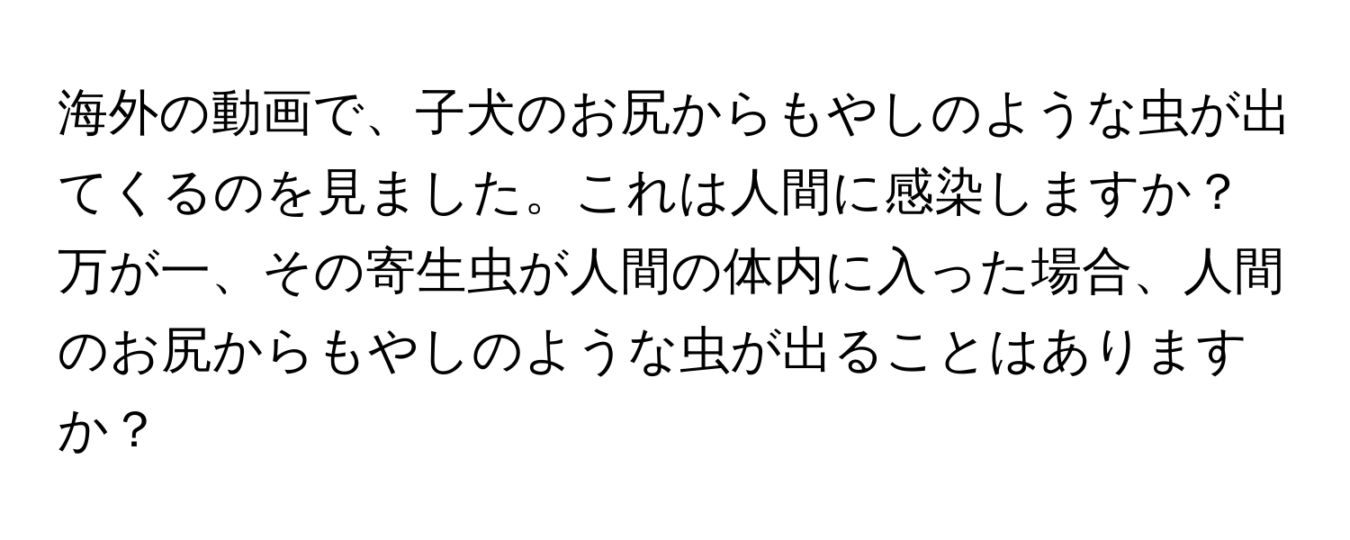 海外の動画で、子犬のお尻からもやしのような虫が出てくるのを見ました。これは人間に感染しますか？万が一、その寄生虫が人間の体内に入った場合、人間のお尻からもやしのような虫が出ることはありますか？