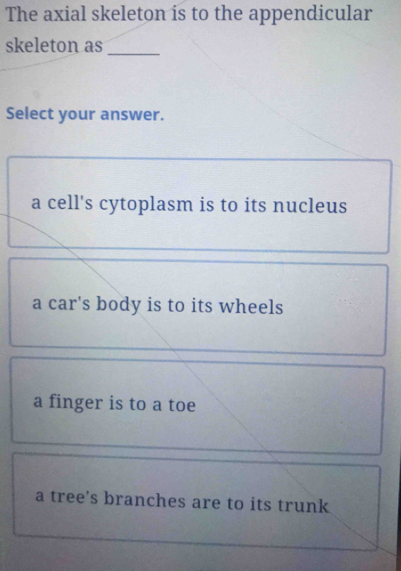 The axial skeleton is to the appendicular
skeleton as
_
Select your answer.
a cell's cytoplasm is to its nucleus
a car's body is to its wheels
a finger is to a toe
a tree's branches are to its trunk