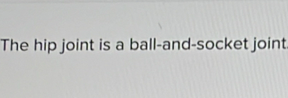 The hip joint is a ball-and-socket joint