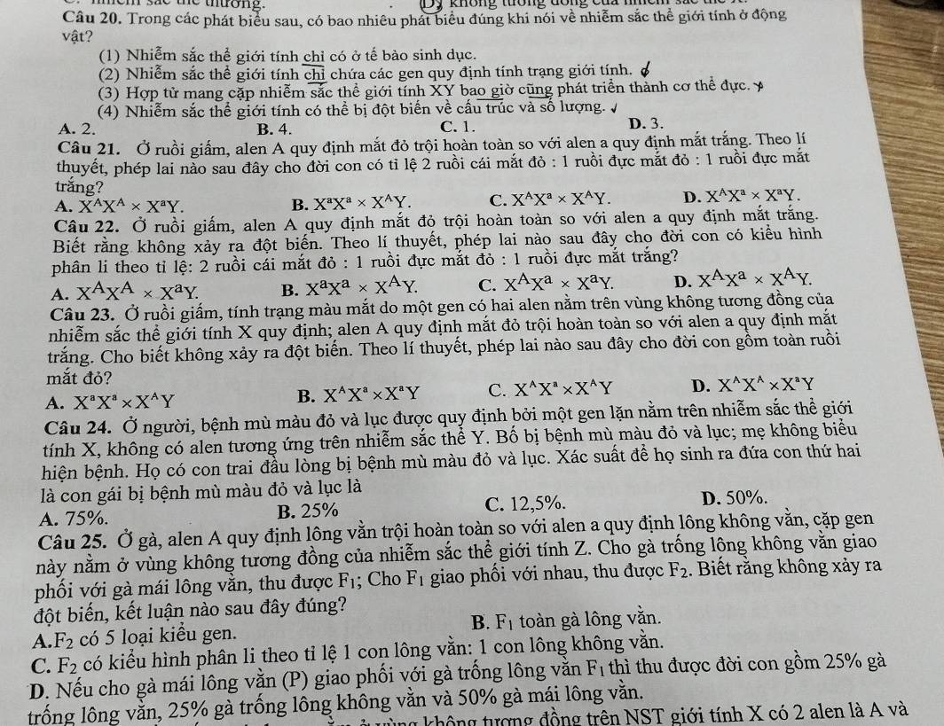 em se te thuong. Dy không tông đông cùi mêm
Câu 20. Trong các phát biểu sau, có bao nhiêu phát biểu đúng khi nói về nhiễm sắc thể giới tính ở động
vật?
(1) Nhiễm sắc thể giới tính chỉ có ở tế bào sinh dục.
(2) Nhiễm sắc thể giới tính chỉ chứa các gen quy định tính trạng giới tính.
(3) Hợp tử mang cặp nhiễm sắc thể giới tính XY bao giờ cũng phát triển thành cơ thể đực. y
(4) Nhiễm sắc thể giới tính có thể bị đột biến về cấu trúc và số lượng. v
A. 2. B. 4. C. 1. D. 3.
Câu 21. Ở ruồi giấm, alen A quy định mắt đỏ trội hoàn toàn so với alen a quy định mắt trắng. Theo lí
thuyết, phép lai nào sau đây cho đời con có tỉ lệ 2 ruồi cái mắt đỏ : 1 ruồi đực mắt đỏ : 1 ruồi đực mắt
trắng?
A. X^AX^A* X^aY. B. X^aX^a* X^AY. C. X^AX^a* X^AY. D. X^(wedge)X^a* X^aY.
Câu 22. Ở ruồi giấm, alen A quy định mắt đỏ trội hoàn toàn so với alen a quy định mắt trắng.
Biết rằng không xảy ra đột biến. Theo lí thuyết, phép lai nào sau đây cho đời con có kiểu hình
phân li theo tỉ lệ: 2 ruồi cái mắt đỏ : 1 ruồi đực mắt đỏ : 1 ruồi đực mắt trắng?
A. X^AX^A* X^aY. B. X^aX^a* X^AY. C. X^AX^a* X^aY. D. X^AX^a* X^AY.
Câu 23. Ở ruồi giấm, tính trạng màu mắt do một gen có hai alen nằm trên vùng không tương đồng của
nhiễm sắc thể giới tính X quy định; alen A quy định mắt đỏ trội hoàn toàn so với alen a quy định mắt
trắng. Cho biết không xảy ra đột biến. Theo lí thuyết, phép lai nào sau đây cho đời con gồm toàn ruồi
mắt đỏ?
A. X^aX^a* X^AY B. X^AX^a* X^aY C. X^(wedge)X^a* X^(wedge)Y D. X^(wedge)X^(wedge)* X^aY
Câu 24. Ở người, bệnh mù màu đỏ và lục được quy định bởi một gen lặn nằm trên nhiễm sắc thể giới
tính X, không có alen tương ứng trên nhiễm sắc thể Y. Bố bị bệnh mù màu đỏ và lục; mẹ không biểu
biện bệnh. Họ có con trai đầu lòng bị bệnh mù màu đỏ và lục. Xác suất để họ sinh ra đứa con thứ hai
là con gái bị bệnh mù màu đỏ và lục là
A. 75%. B. 25% C. 12,5%. D. 50%.
Câu 25. Ở gà, alen A quy định lông vằn trội hoàn toàn so với alen a quy định lông không vằn, cặp gen
này nằm ở vùng không tương đồng của nhiễm sắc thể giới tính Z. Cho gà trống lông không vằn giao
phối với gà mái lông vằn, thu được F_1; Cho F_1 giao phối với nhau, thu được F_2. Biết rằng không xảy ra
đột biến, kết luận nào sau đây đúng?
B.
A. F_2 có 5 loại kiểu gen. F_1 toàn gà lông vằn.
C. F_2 có kiểu hình phân li theo tỉ lệ 1 con lông vằn: 1 con lông không vằn.
D. Nếu cho gà mái lông vằn (P) giao phối với gà trống lông vằn F_1 thì thu được đời con gồm 25% gà
trống lông vằn, 25% gà trống lông không vằn và 50% gà mái lông vằn.
tông tượng đồng trên NST giới tính X có 2 alen là A và