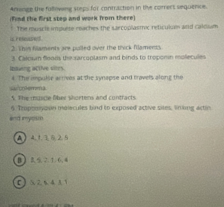 Arringe the following steps for contraction in the correct sequence. 
(Find the first step and work from there) 
1. The muscle impulse reaches the sarcoplasmic reticulum ard calcium 
is remnsed 
2. Thin flaments are pulled over the thick fllaments. 
3 Calcuan floods the sarcoplasm and binds to troponin molecules 
lnaving active sites. 
4. The impulse arrives at the synapse and travels along the 
sarcolemma. 
5. The muscie fiber shortens and contracts 
6. Tropomyosin melecules hind to exposed active sites, linxing actin 
and myosi 
A 4, 1, 3, 6, 2, 5
BB、 5 、 2 、 7 、 6 、 
[ 5. 2 6 4, 3 1