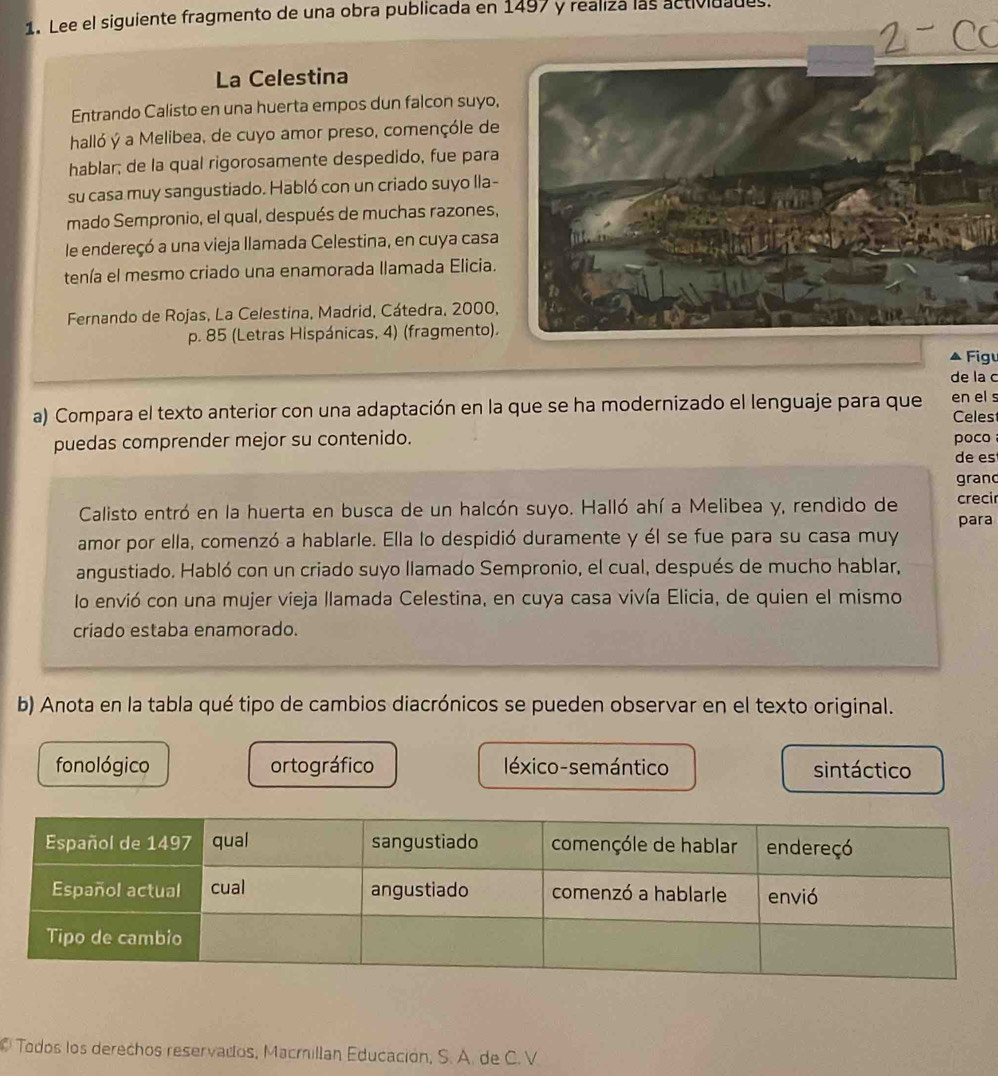 Lee el siguiente fragmento de una obra publicada en 1497 y realiza las activiuades.
La Celestina
Entrando Calisto en una huerta empos dun falcon suyo,
halló ý a Melibea, de cuyo amor preso, començóle de
hablar; de la qual rigorosamente despedido, fue para
su casa muy sangustiado. Habló con un criado suyo lla-
mado Sempronio, el qual, después de muchas razones,
le endereçó a una vieja llamada Celestina, en cuya casa
tenía el mesmo criado una enamorada llamada Elicia.
Fernando de Rojas, La Celestina, Madrid, Cátedra, 2000,
p. 85 (Letras Hispánicas, 4) (fragmento).
Figu
de la c
a) Compara el texto anterior con una adaptación en la que se ha modernizado el lenguaje para que Celes en el s
puedas comprender mejor su contenido. poco
de es
grand
Calisto entró en la huerta en busca de un halcón suyo. Halló ahí a Melibea y, rendido de crecir
para
amor por ella, comenzó a hablarle. Ella lo despidió duramente y él se fue para su casa muy
angustiado. Habló con un criado suyo llamado Sempronio, el cual, después de mucho hablar,
lo envió con una mujer vieja llamada Celestina, en cuya casa vivía Elicia, de quien el mismo
críado estaba enamorado.
b) Anota en la tabla qué tipo de cambios diacrónicos se pueden observar en el texto original.
fonológico ortográfico léxico-semántico sintáctico
Todos los derechos reservados, Macmillan Educación, S. A. de C. V