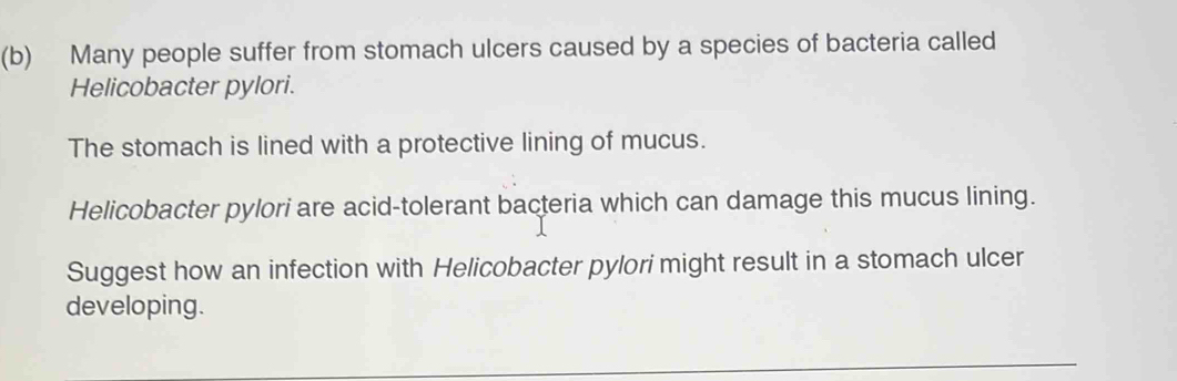 Many people suffer from stomach ulcers caused by a species of bacteria called 
Helicobacter pylori. 
The stomach is lined with a protective lining of mucus. 
Helicobacter pylori are acid-tolerant bacteria which can damage this mucus lining. 
Suggest how an infection with Helicobacter pylori might result in a stomach ulcer 
developing.