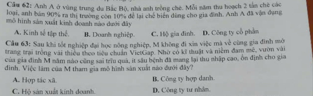 Anh A ở vùng trung du Bắc Bộ, nhà anh trồng chè. Mỗi năm thu hoạch 2 tấn chè các
loại, anh bán 90% ra thị trường còn 10% để lại chế biến dùng cho gia đình. Anh A đã vận dụng
mô hình sản xuất kinh doanh nào dưới đây
A. Kinh tế tập thể. B Doanh nghiệp, C. Hộ gia đinh. D. Công ty cổ phần
Câu 63: Sau khi tốt nghiệp đại học nông nghiệp, M không đi xin việc mà về cùng gia đình mở
trang trại trồng vai thiều theo tiêu chuẩn VietGap. Nhờ có kĩ thuật và niềm đam mê, vườn vài
của gia đình M nãm nảo cũng sai trīu quả, ít sâu bệnh đã mang lại thu nhập cao, ổn định cho gia
dình. Việc làm của M tham gia mô hình sản xuất nào dưới đây?
A. Hợp tác xã, B. Công ty hợp danh.
C. Hộ sản xuất kinh doanh. D. Công ty tư nhân.