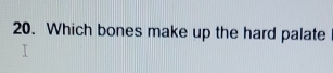 Which bones make up the hard palate
