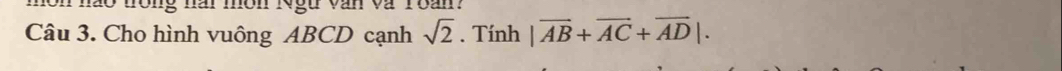 môn nào trong nai môn Ngữ văn và Toan. 
Câu 3. Cho hình vuông ABCD cạnh sqrt(2). Tính |vector AB+vector AC+vector AD|.