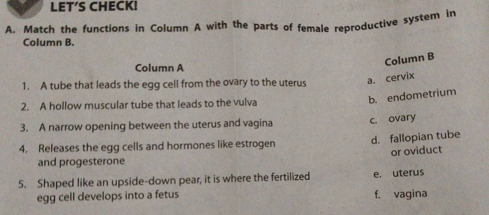 LET'S CHECK!
A. Match the functions in Column A with the parts of female reproductive system in
Column B.
Column B
Column A
1. A tube that leads the egg cell from the ovary to the uterus
a. cervix
2. A hollow muscular tube that leads to the vulva
b. endometrium
3. A narrow opening between the uterus and vagina
c. ovary
d. fallopian tube
4. Releases the egg cells and hormones like estrogen
or oviduct
and progesterone
5. Shaped like an upside-down pear, it is where the fertilized e. uterus
egg cell develops into a fetus f. vagina