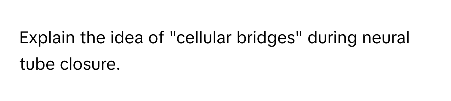 Explain the idea of "cellular bridges" during neural tube closure.