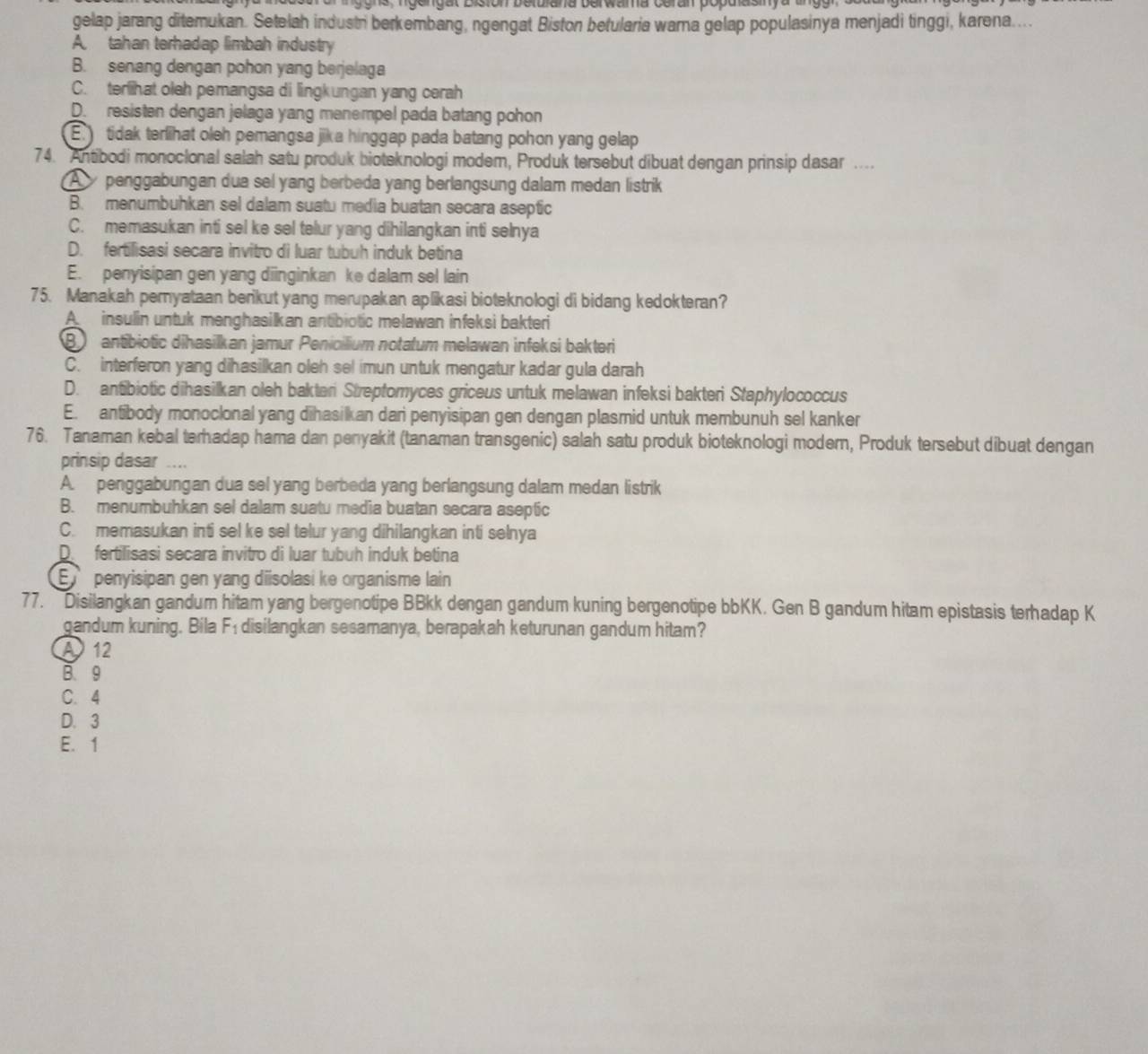 gelap jarang ditemukan. Setelah industi berkembang, ngengat Biston betularia warna gelap populasinya menjadi tinggi, karena....
A. tahan terhadap limbah industry
B. senang dengan pohon yang berjelaga
C. terlihat oleh pemangsa di lingkungan yang cerah
D. resisten dengan jelaga yang menempel pada batang pohon
E.  tidak terlihat oleh pemangsa jika hinggap pada batang pohon yang gelap
74. Antibodi monoclonal salah satu produk bioteknologi modem, Produk tersebut dibuat dengan prinsip dasar ...
A  penggabungan dua sel yang berbeda yang berlangsung dalam medan listrik
B. menumbuhkan sel dalam suatu media buatan secara aseptic
C. memasukan inti sel ke sel telur yang dihilangkan inti selnya
D. fertilisasi secara invitro di luar tubuh induk betina
E. penyisipan gen yang diinginkan ke dalam sel lain
75. Manakah pernyataan berikut yang merupakan aplikasi bioteknologi di bidang kedokteran?
A  insulin untuk menghasilkan antibiotic melawan infeksi bakteri
B antibiotic dihasilkan jamur Penicilium notatum melawan infeksi bakteri
C. interferon yang dihasilkan oleh sel imun untuk mengatur kadar gula darah
D. antibiotic dihasilkan oleh baktari Streptomyces griceus untuk melawan infeksi bakteri Staphylococcus
E. antibody monoclonal yang dihasilkan dari penyisipan gen dengan plasmid untuk membunuh sel kanker
76. Tanaman kebal terhadap hama dan penyakit (tanaman transgenic) salah satu produk bioteknologi modern, Produk tersebut dibuat dengan
prinsip dasar ....
A. penggabungan dua sel yang berbeda yang berlangsung dalam medan listrik
B. menumbuhkan sel dalam suatu media buatan secara aseptic
C. memasukan inti sel ke sel telur yang dihilangkan inti selnya
D. fertilisasi secara invitro di luar tubuh induk betina
E  penyisipan gen yang diisolasi ke organisme lain
77. Disilangkan gandum hitam yang bergenotipe BBkk dengan gandum kuning bergenotipe bbKK. Gen B gandum hitam epistasis terhadap K
gandum kuning. Bila F_1 disilangkan sesamanya, berapakah keturunan gandum hitam?
A  12
B. 9
C. 4
D. 3
E. 1