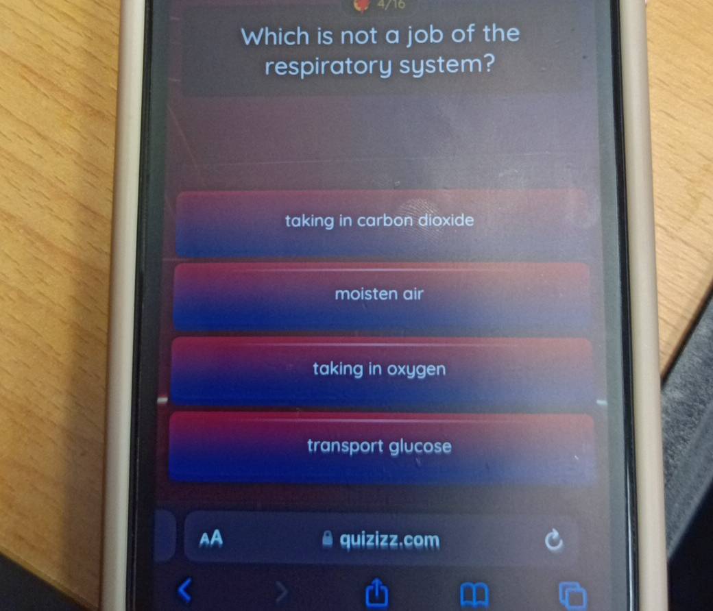 4/16
Which is not a job of the
respiratory system?
taking in carbon dioxide
moisten air
taking in oxygen
transport glucose
AA quizizz.com