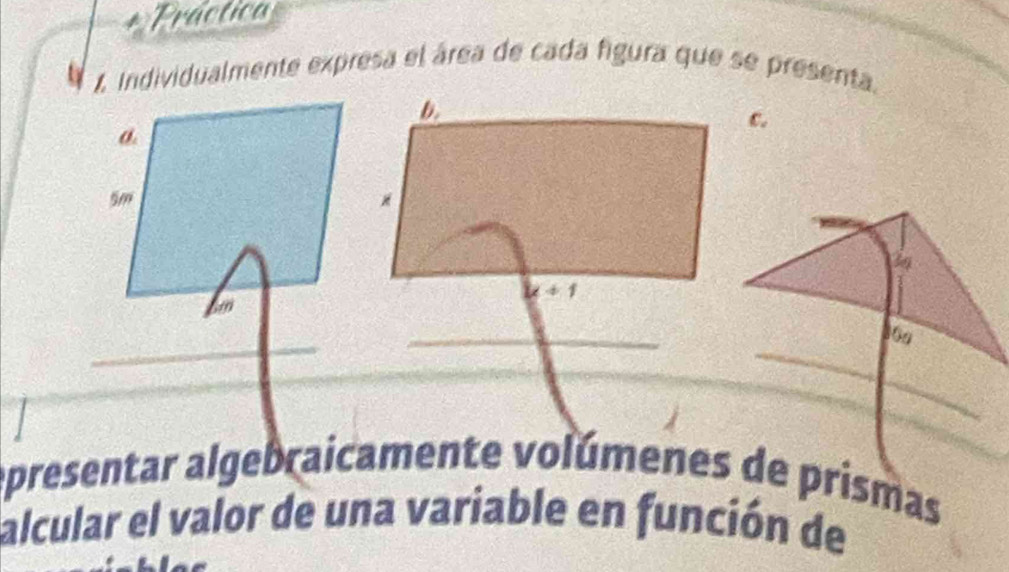 Fráctica 
1 Individualmente expresa el área de cada figura que se presenta. 
c. 
epresentar algebraicamente volúmenes de prismas 
alcular el valor de una variable en función de