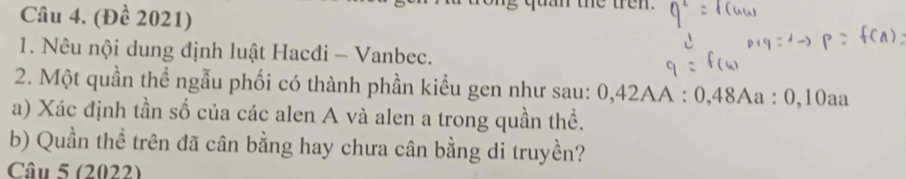 (Đề 2021) 
m te ten 
1. Nêu nội dung định luật Hacdi - Vanbec. 
2. Một quần thể ngẫu phối có thành phần kiểu gen như sau: 0, 42AA : 0, 48A a:0, 10aa
a) Xác định tần số của các alen A và alen a trong quần thể. 
b) Quần thể trên đã cân bằng hay chưa cân bằng di truyền? 
Câu 5 (2022)