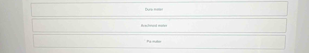 Dura mater 
Arachnoid mater 
Pia mate