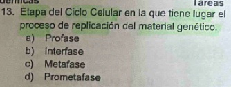 Tareas
13. Etapa del Ciclo Celular en la que tiene lugar el
proceso de replicación del material genético.
a) Profase
b) Interfase
c) Metafase
d) Prometafase