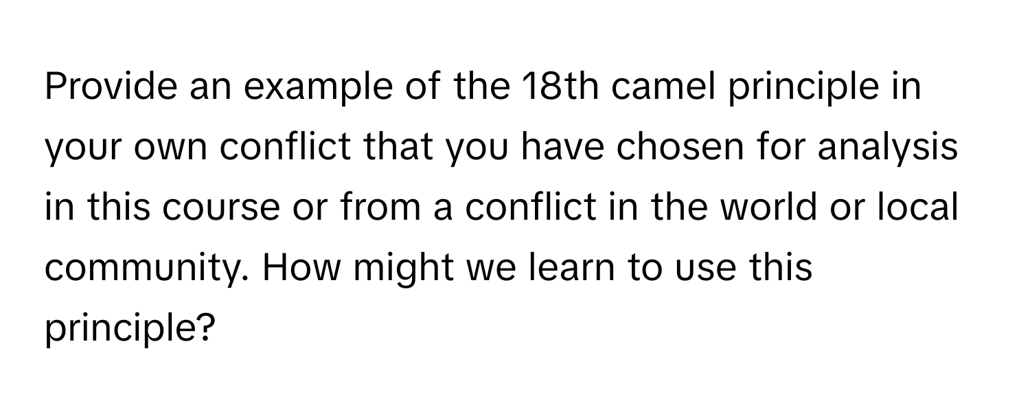 Provide an example of the 18th camel principle in your own conflict that you have chosen for analysis in this course or from a conflict in the world or local community. How might we learn to use this principle?