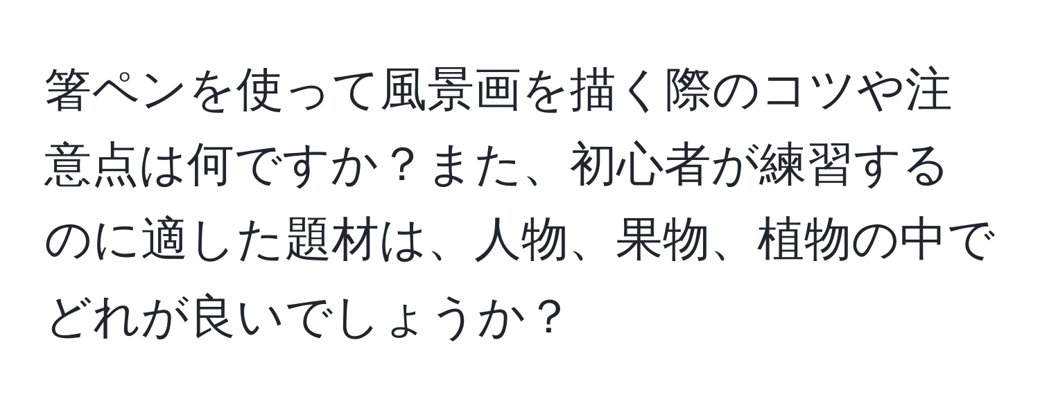 箸ペンを使って風景画を描く際のコツや注意点は何ですか？また、初心者が練習するのに適した題材は、人物、果物、植物の中でどれが良いでしょうか？