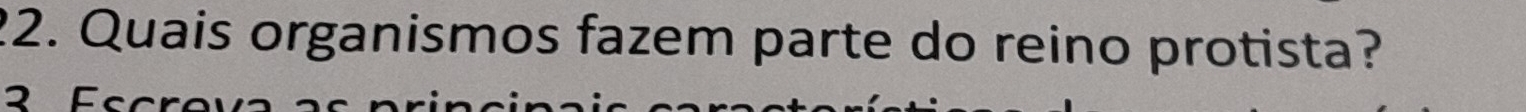 Quais organismos fazem parte do reino protista?