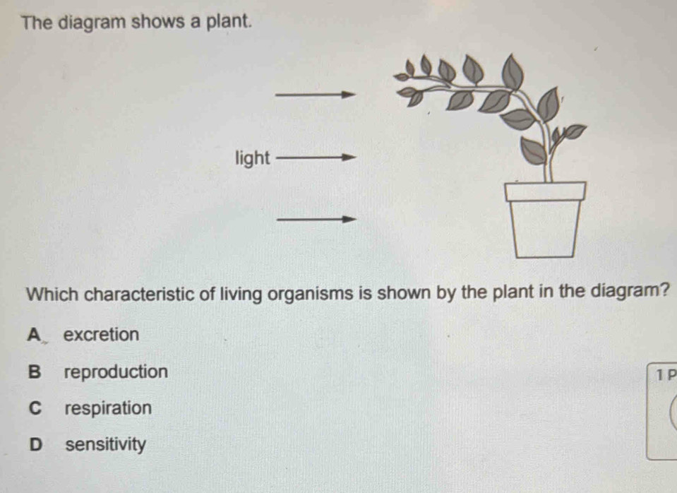 The diagram shows a plant.
light
Which characteristic of living organisms is shown by the plant in the diagram?
A excretion
B reproduction 1 P
C respiration
D sensitivity