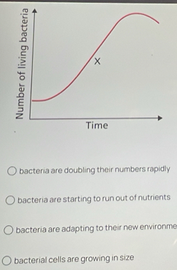 bacteria are doubling their numbers rapidly
bacteria are starting to run out of nutrients
bacteria are adapting to their new environme
bacterial cells are growing in size