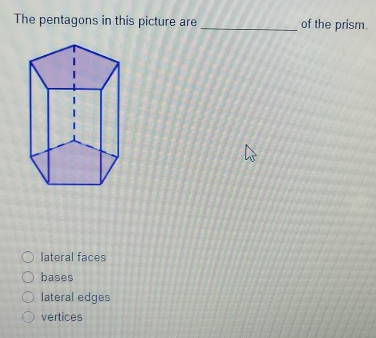 The pentagons in this picture are _of the prism.
lateral faces
bases
lateral edges
vertices